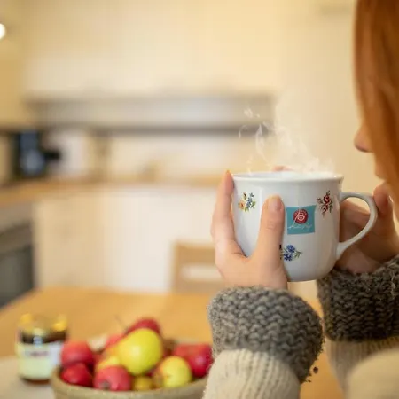 公寓 克伦霍弗公寓农场假期酒店 黑马戈尔